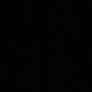 Meet your Posher, Carmen